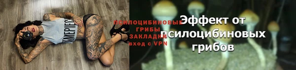 соль ск Ступино