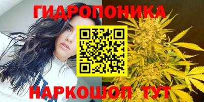 соль ск Заволжье