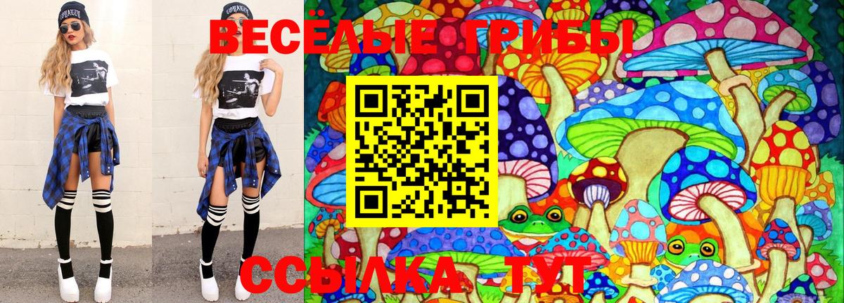 Псилоцибиновые грибы ЛСД Хабаровск