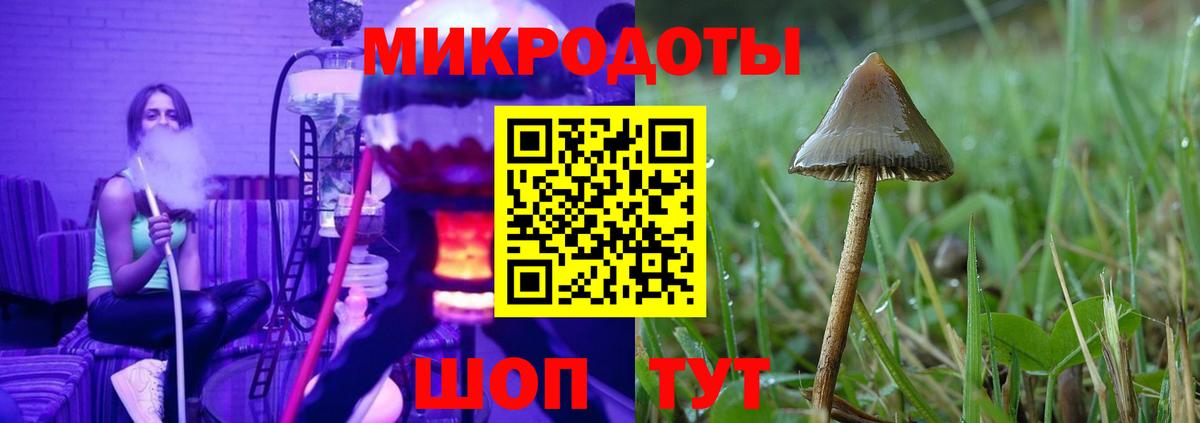 Псилоцибиновые грибы MAGIC MUSHROOMS  Хабаровск  как найти   Галлюциногенные грибы мухоморы 